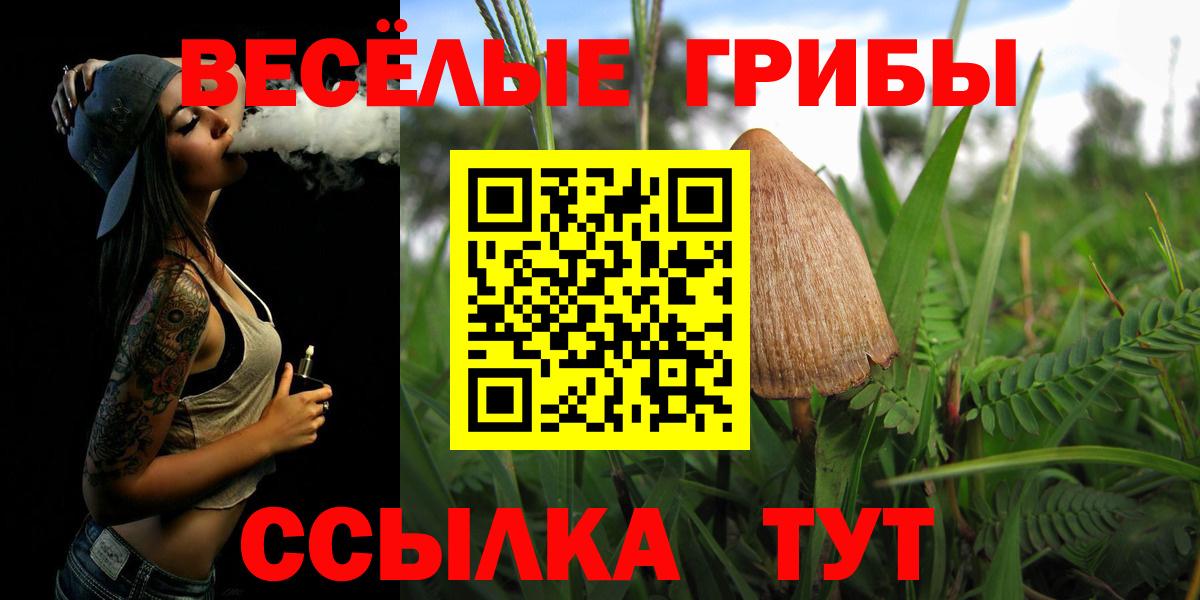 Россошь  Псилоцибиновые грибы Psilocybe  Псилоцибиновые грибы Cubensis  Вход с VPN 